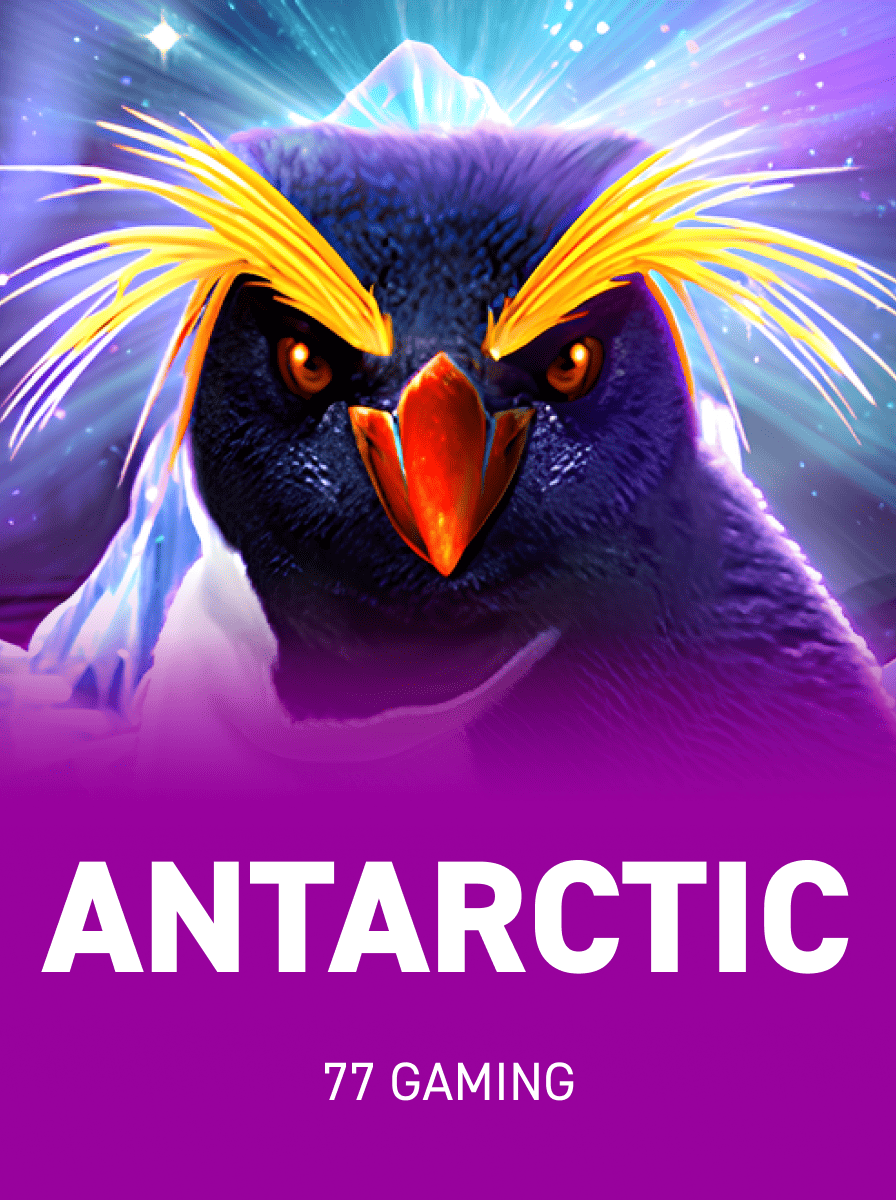 Unleash the Thrills of Live Dealer Games at PushBet Casino